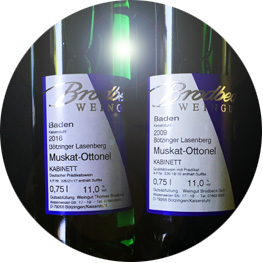 Weingut Brodbeck (c) Ludwigsburger Weinakademie
