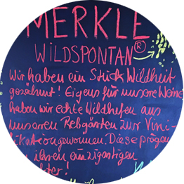Weingut Merkle (c) Ludwigsburger Weinakademie