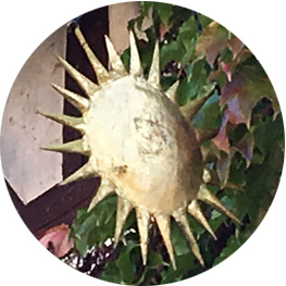 Weingut Sacherer (c) Ludwigsburger Weinakademie