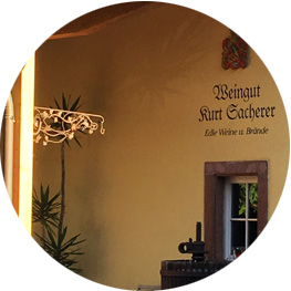 Weingut Sacherer (c) Ludwigsburger Weinakademie