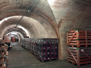 Weingut der Stadt Stuttgart (c) Ludwigsburger Weinakademie